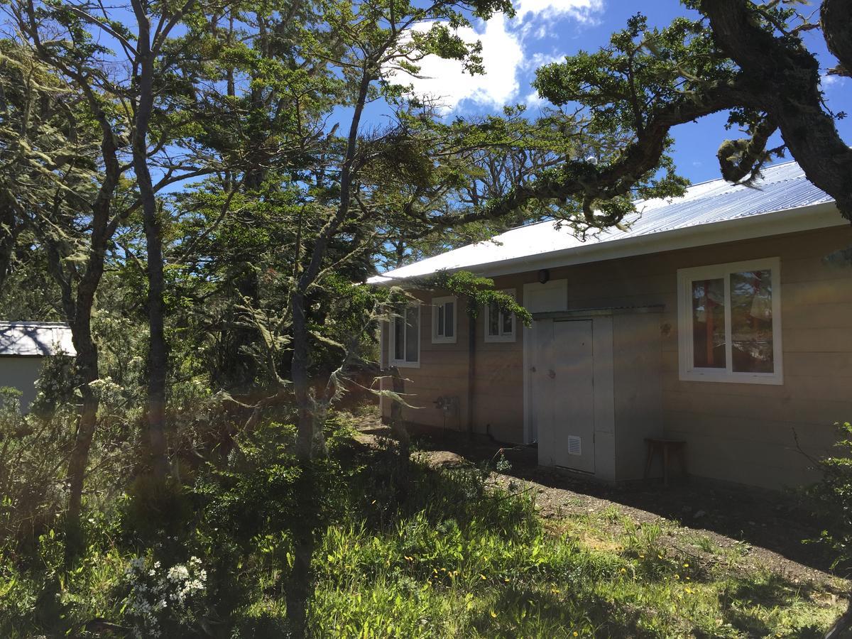 Cabanas Montes De La Patagonia Punta Arenas Kültér fotó